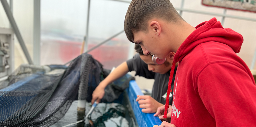 Students working in aquaponics lab